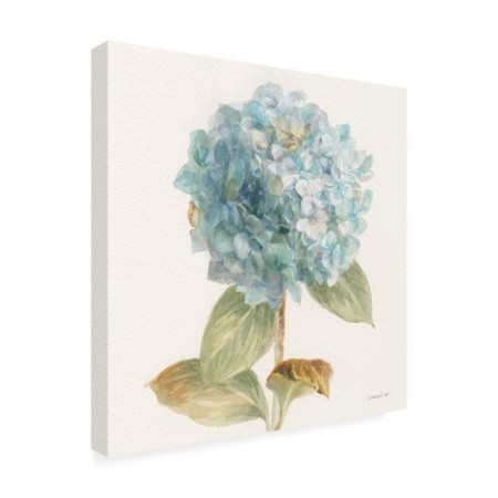 Trademark Fine Art Danhui Nai 'Garden Hydrangea' Canvas Art, 18x18 WAP10822-C1818GG